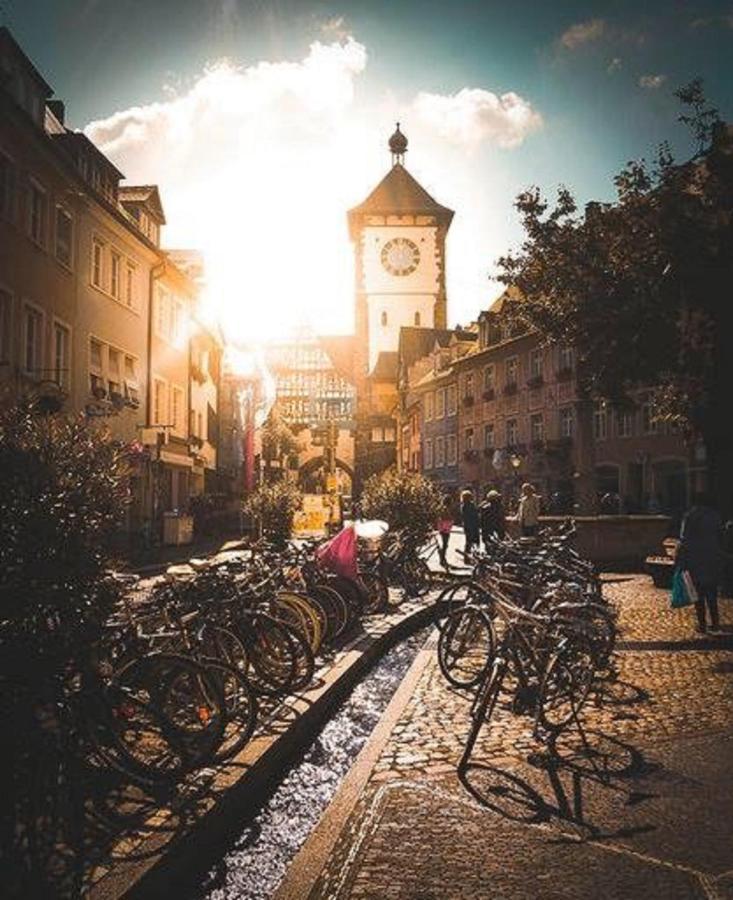 Luxus Apartment Colloseum In Der Stadt Freiburg im Breisgau Luaran gambar