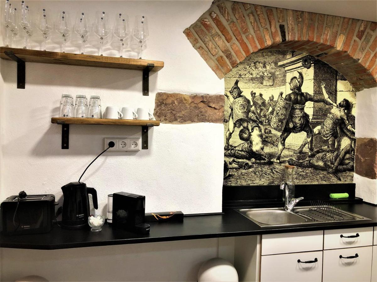 Luxus Apartment Colloseum In Der Stadt Freiburg im Breisgau Luaran gambar